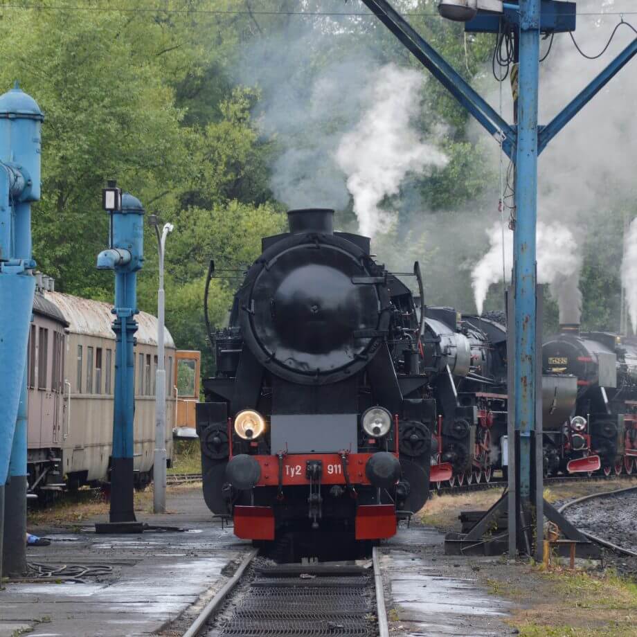 Parowozjada 2019 Fot Adam Kupniewski