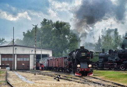Parowozjada 2019 Fot Adam Kupniewski