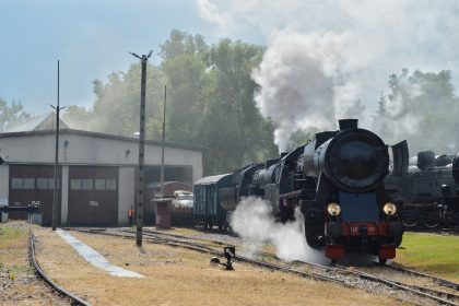 Parowozjada 2019 Fot Adam Kupniewski