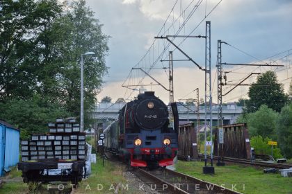 Parowozjada 2019 Fot Adam Kupniewski