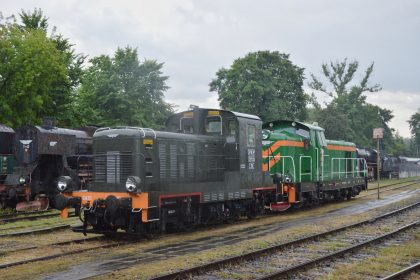 Parowozjada 2019 Fot Adam Kupniewski